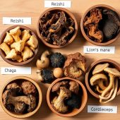 Various types of functional mushrooms used in mushroom chocolate