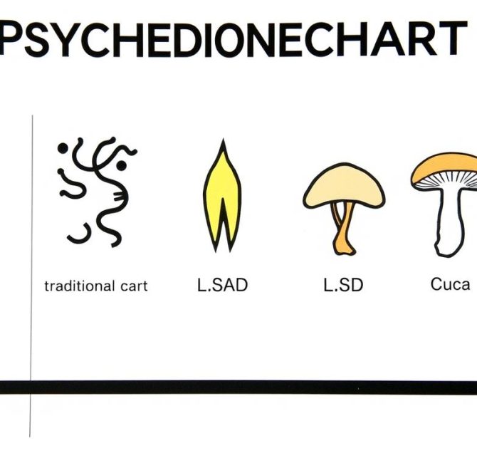 Visual comparison of different psychedelic substances and their forms